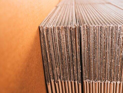 Separadores <br> Cartón